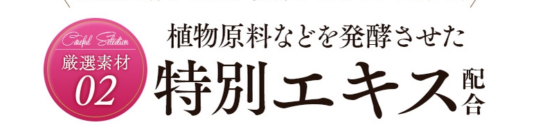 ���������`���V�W�������T�C�g